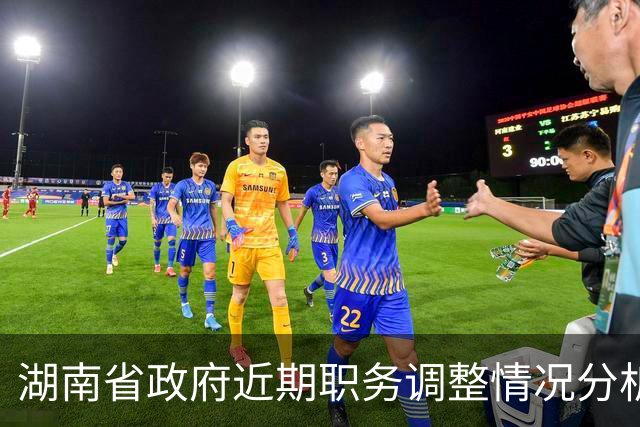 湖南省政府近期职务调整情况分析