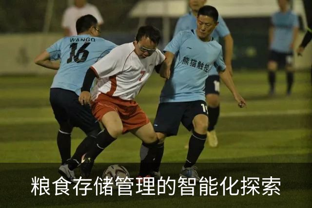 粮食存储管理的智能化探索